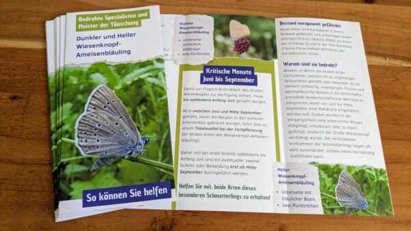 Flyer des Wiesenknopf-Ameisenbläuling liegen auf dem Tisch
