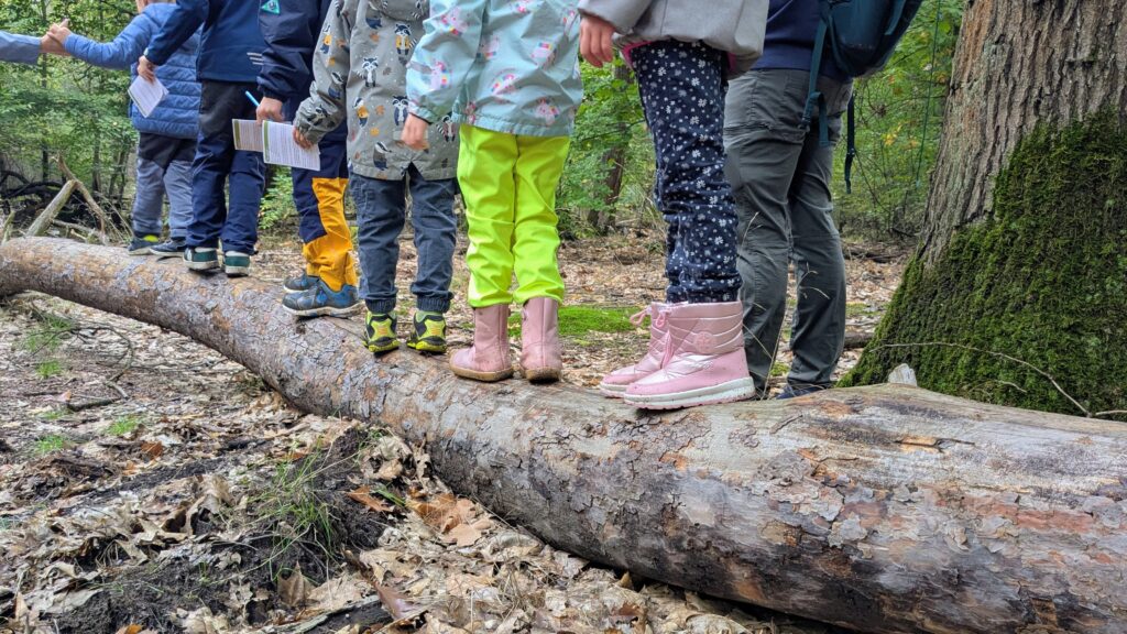 Kinder balancieren auf Baumstamm