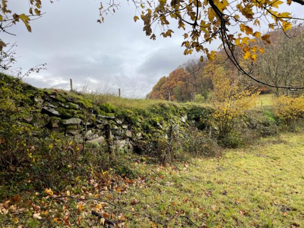 Mit Planzen überwachsene Trockenmauer