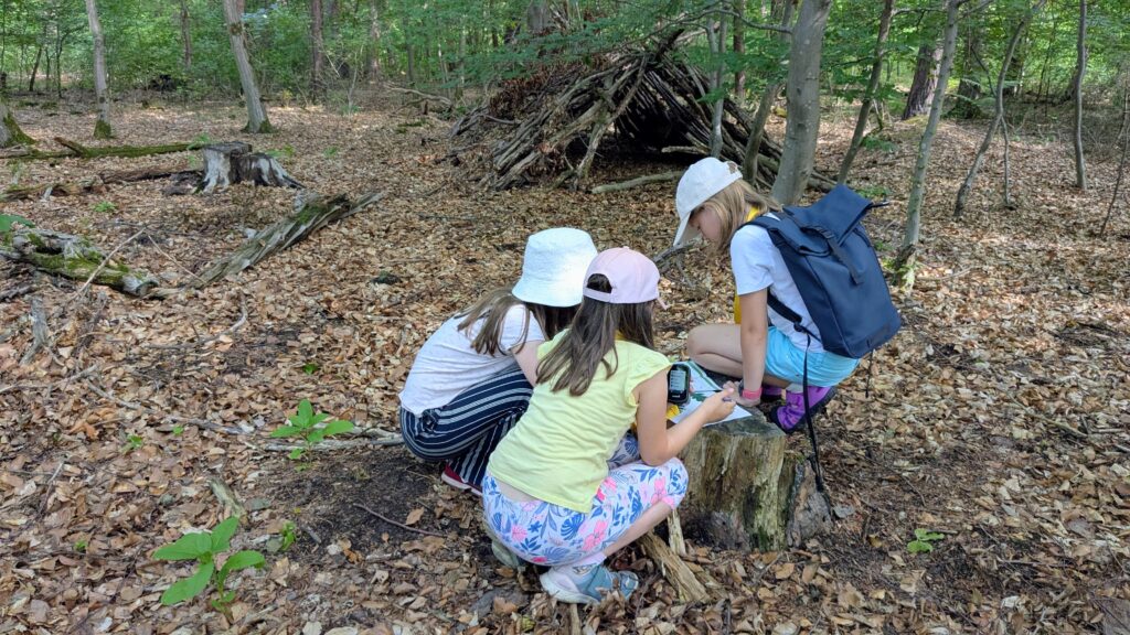 Kinder lösen ein Rätsel im Wald
