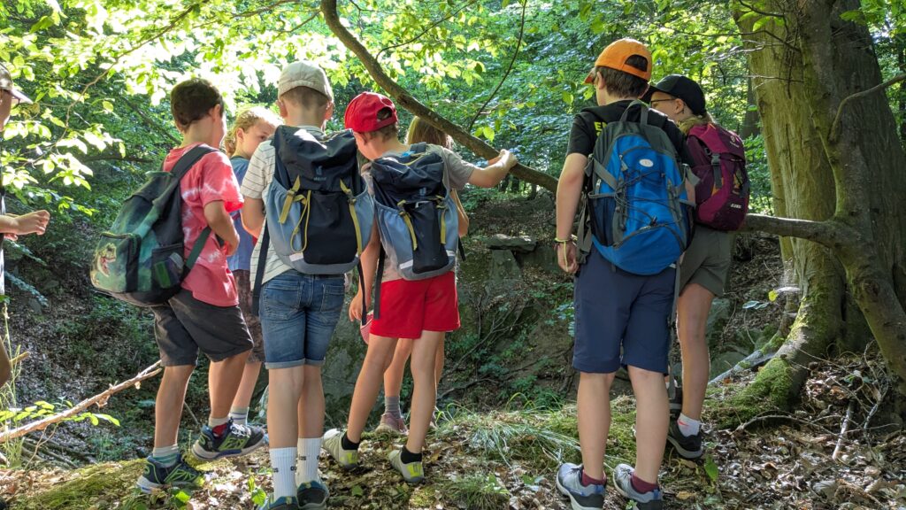 Kinder schauen in den Wald