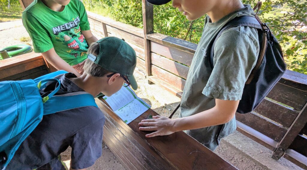 Kinder beugen sich über ein Buch