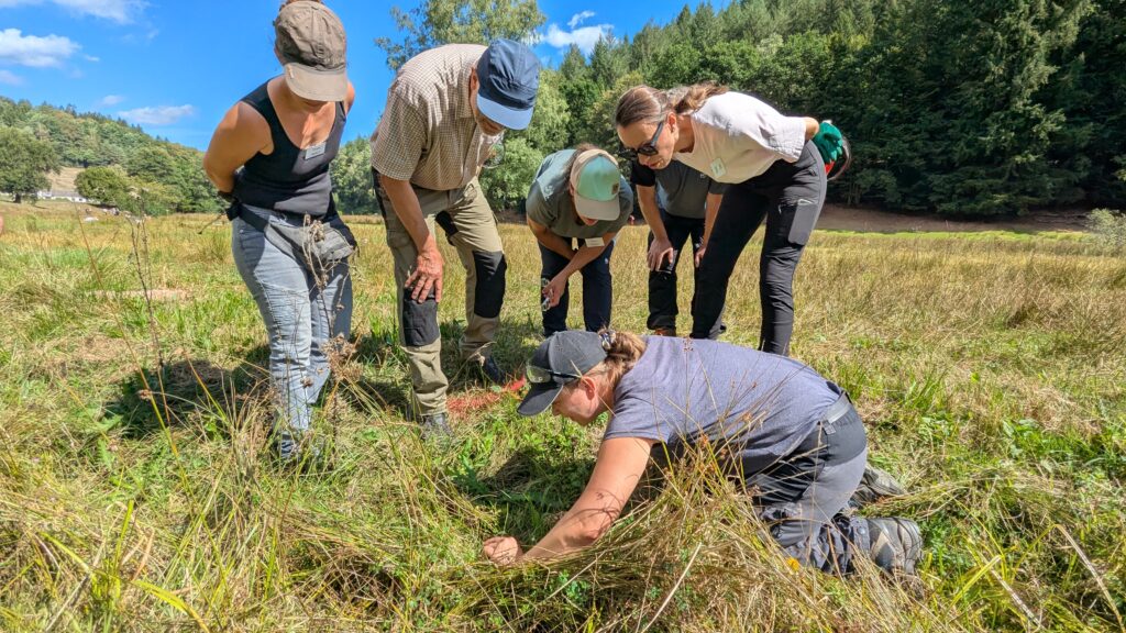 Personen beugen sich über etwas auf der Wiese