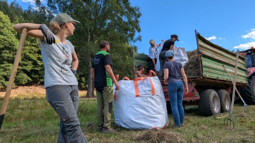 Personen laden Heu auf einen Wagen